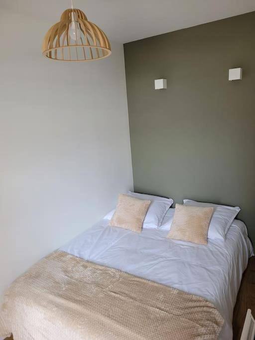 2 Voyageurs Au Coeur De Appartement Sallanches